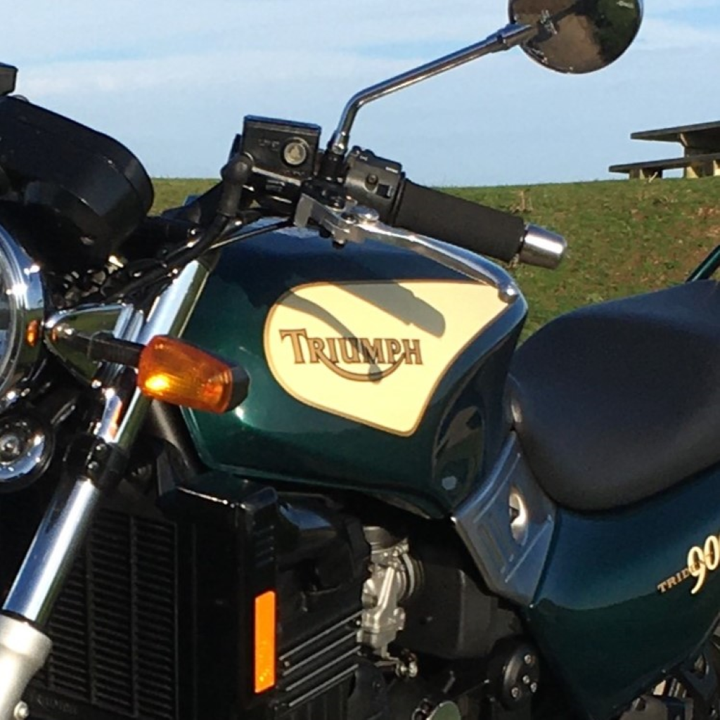 Triumph Ivory (code NE) Paint Product